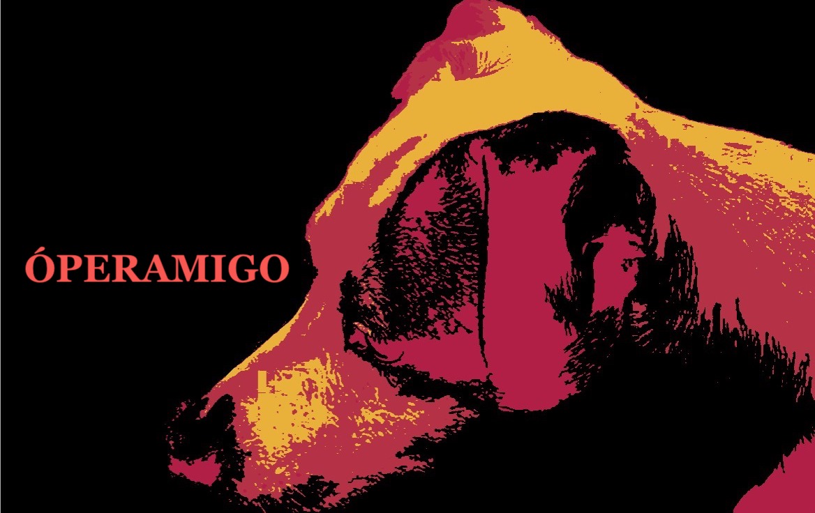 AMIGOS DE QNK.ÓPERA